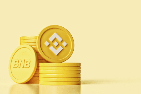 binance and binance bridge