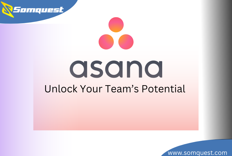 Asana: Unlock Your Team’s Potential