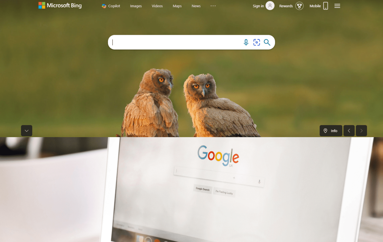 Bing Search vs Google